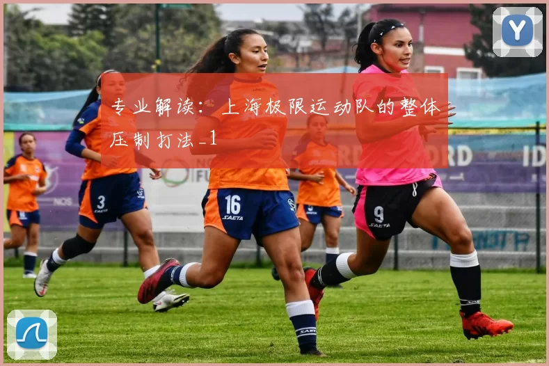 专业解读：上海极限运动队的整体压制打法_1