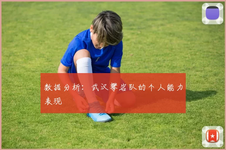 数据分析：武汉攀岩队的个人能力表现