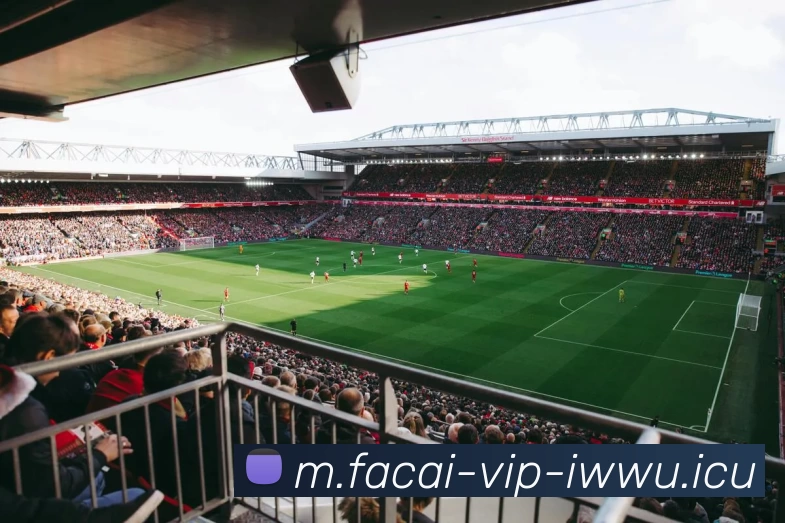 开云体育发展历程